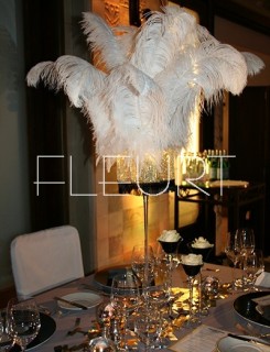 White ostrich feather - long